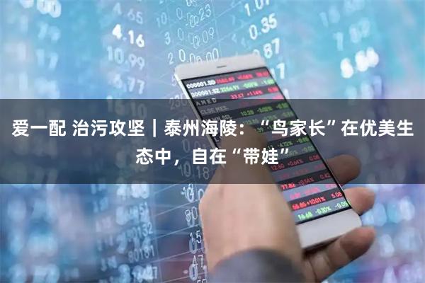 爱一配 治污攻坚｜泰州海陵：“鸟家长”在优美生态中，自在“带娃”