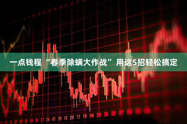 一点钱程 “春季除螨大作战” 用这5招轻松搞定