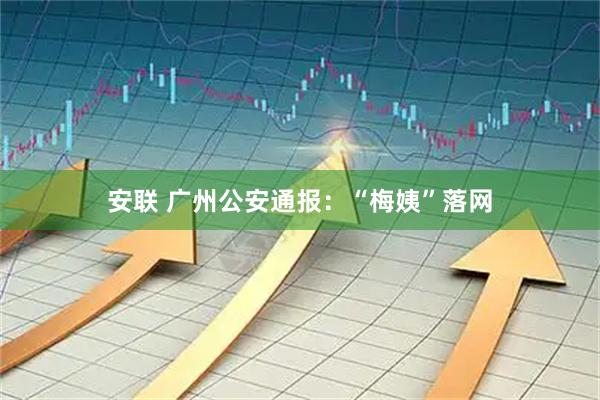 安联 广州公安通报：“梅姨”落网