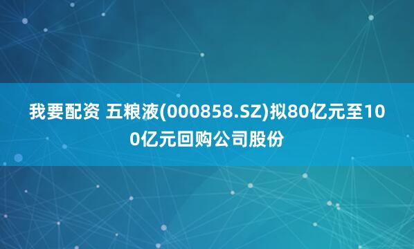 我要配资 五粮液(000858.SZ)拟80亿元至100亿元回购公司股份