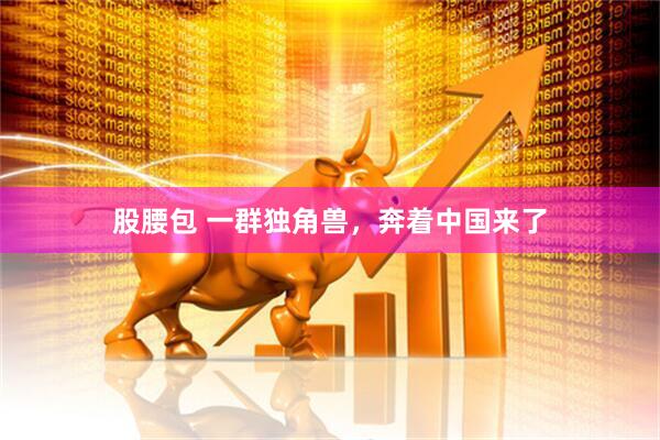 股腰包 一群独角兽，奔着中国来了
