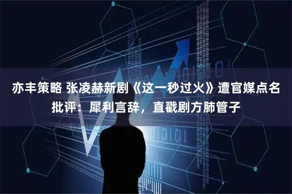 亦丰策略 张凌赫新剧《这一秒过火》遭官媒点名批评：犀利言辞，直戳剧方肺管子